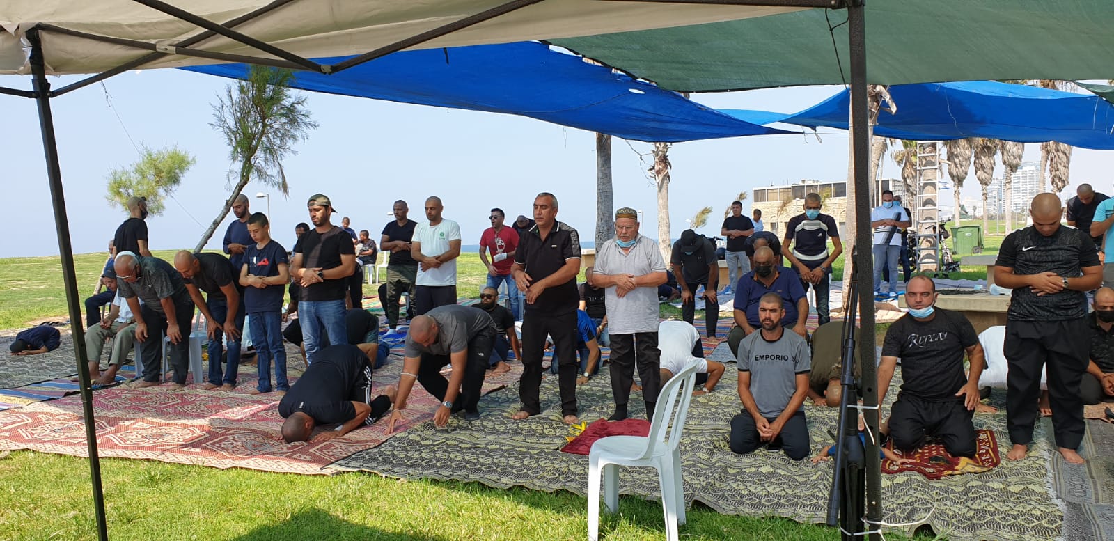 WhatsApp Image 2020-09-18 at 1.16.36 PM.jpeg.jpeg